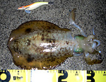 CIMG0305_edited.JPG